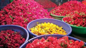 FLOWERS_0